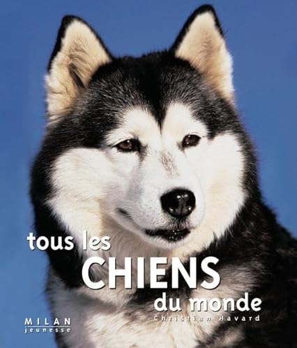 Beispielbild fr Tous les chiens du monde zum Verkauf von medimops