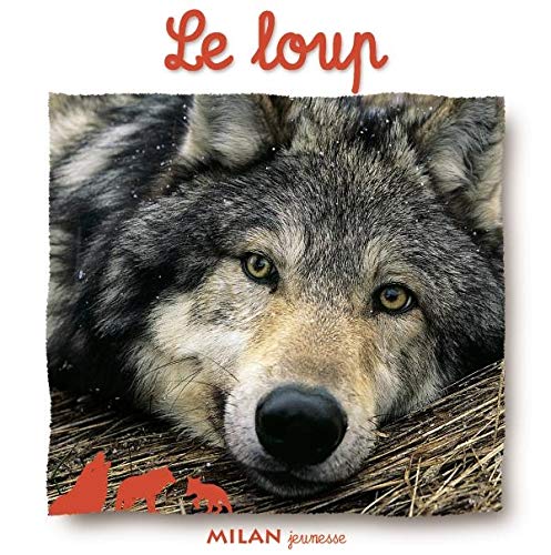 Imagen de archivo de Le Loup a la venta por RECYCLIVRE