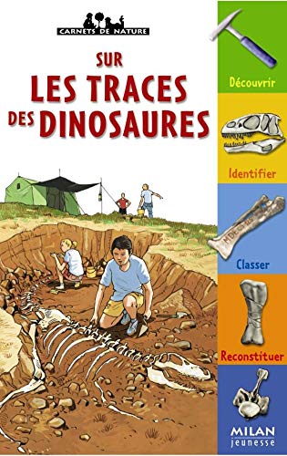 9782745909794: Sur les traces des dinosaures