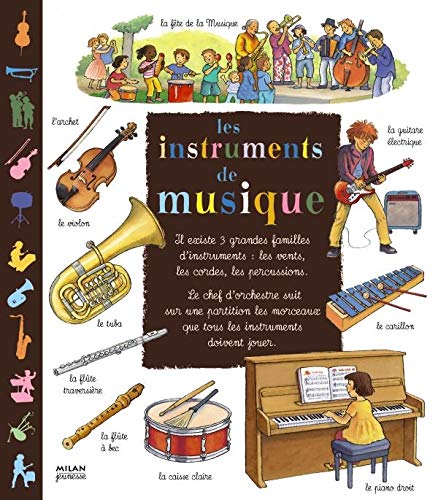 9782745910271: Les instruments de musique