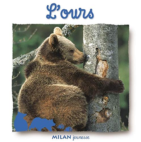 Imagen de archivo de L'ours a la venta por RECYCLIVRE