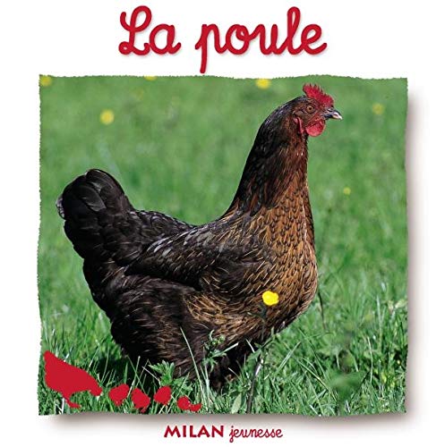 Stock image for La Poule for sale by RECYCLIVRE