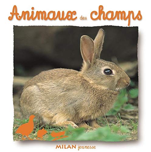 Imagen de archivo de Animaux Des Champs a la venta por RECYCLIVRE