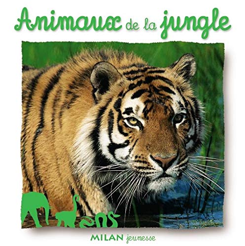 Stock image for Animaux De La Jungle for sale by RECYCLIVRE