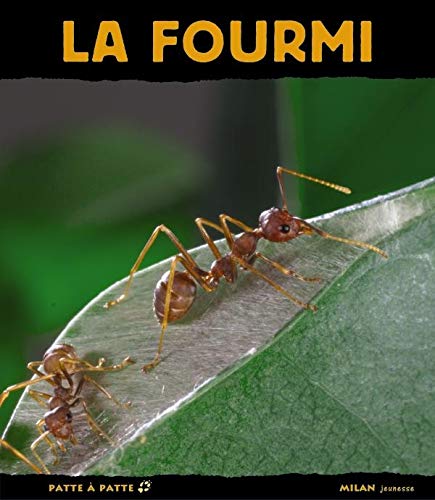 Beispielbild fr La Fourmi zum Verkauf von RECYCLIVRE