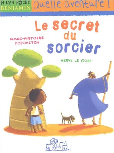 9782745915634: Le secret du sorcier