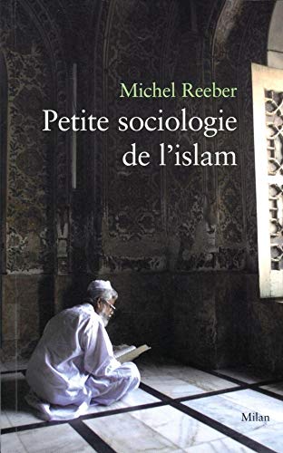 Stock image for Petite sociologie de l'islam for sale by Ammareal