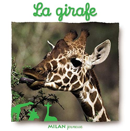 Imagen de archivo de La girafe a la venta por Ammareal