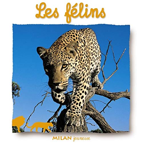 Stock image for Les Flins for sale by RECYCLIVRE
