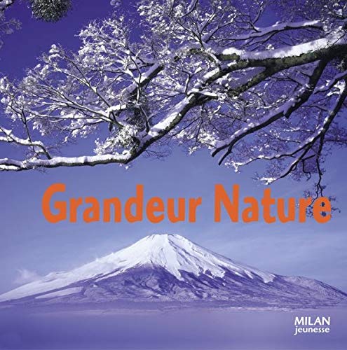 Imagen de archivo de Grandeur nature a la venta por Ammareal