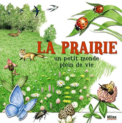 Beispielbild fr La prairie : Un petit monde plein de vie zum Verkauf von Ammareal