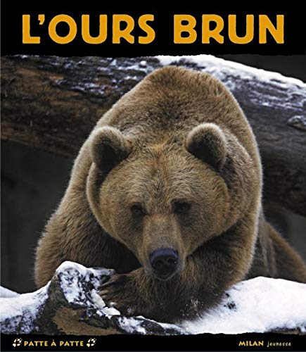 Beispielbild fr L'ours brun zum Verkauf von medimops