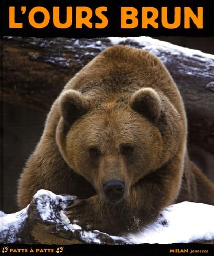 9782745917386: L'ours brun