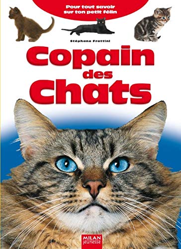 Beispielbild fr Copain des Chats : Pour tout savoir sur ton petit flin zum Verkauf von Ammareal