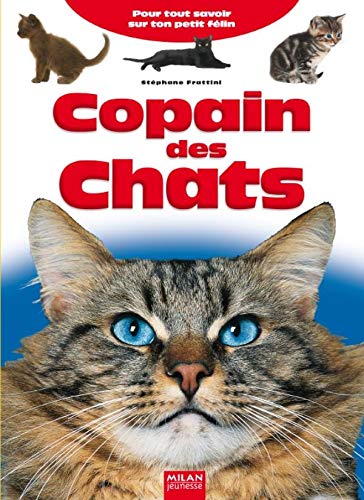 Stock image for Copain des Chats : Pour tout savoir sur ton petit flin for sale by Ammareal