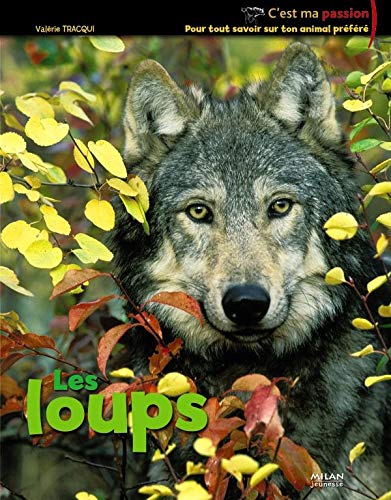 Beispielbild fr Les loups zum Verkauf von Ammareal