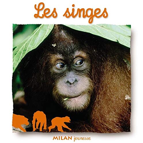 Imagen de archivo de Singes (les ) a la venta por Ammareal