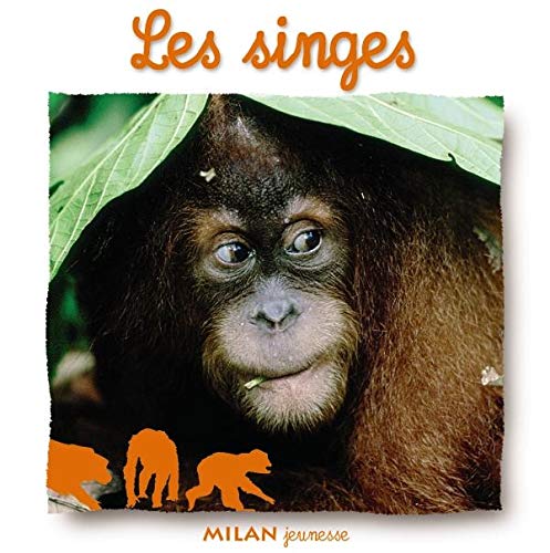 Stock image for Singes (les ) for sale by Ammareal