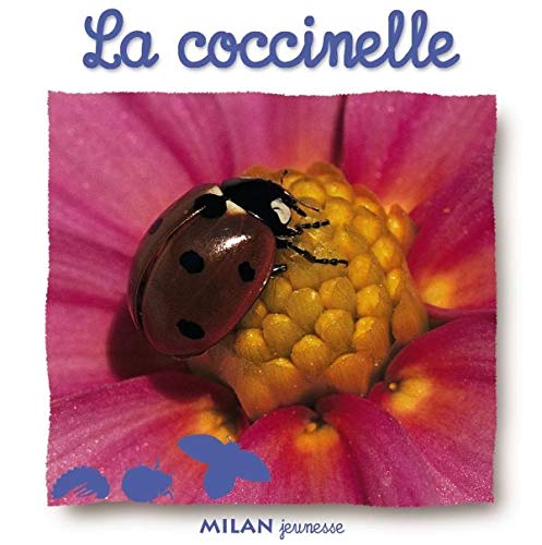 Stock image for A Quatre Pattes: LA Coccinelle for sale by WorldofBooks