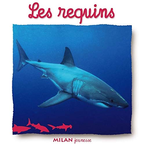 Beispielbild fr A Quatre Pattes: Les Requins zum Verkauf von AwesomeBooks