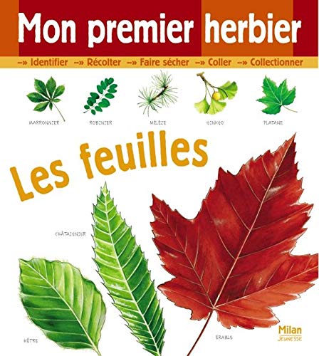 Stock image for Mon premier herbier : Les feuilles for sale by medimops