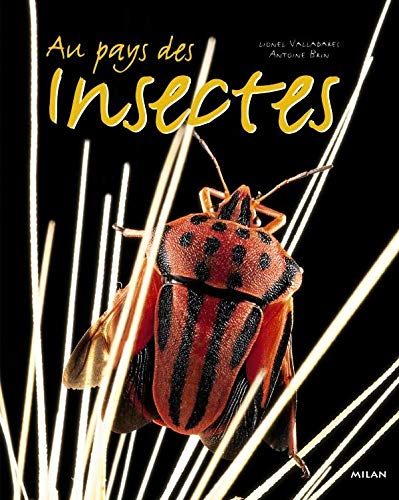 Stock image for Au pays des insectes for sale by Ammareal
