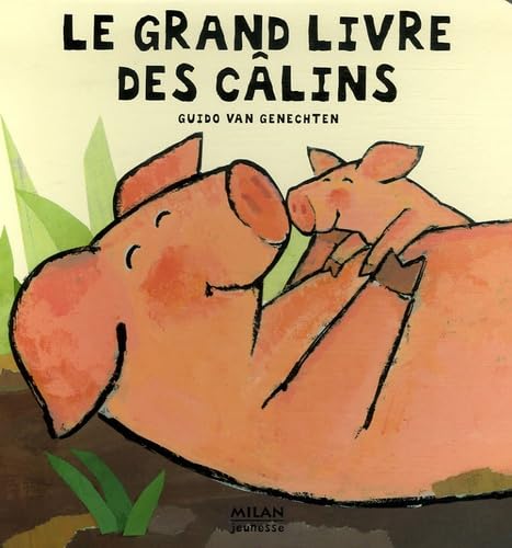 9782745922328: Le grand livre des clins