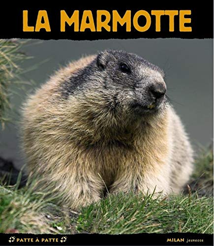 Beispielbild fr La marmotte zum Verkauf von medimops