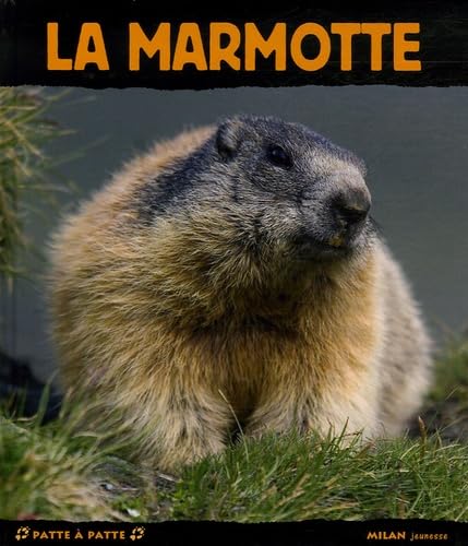 9782745922465: La marmotte