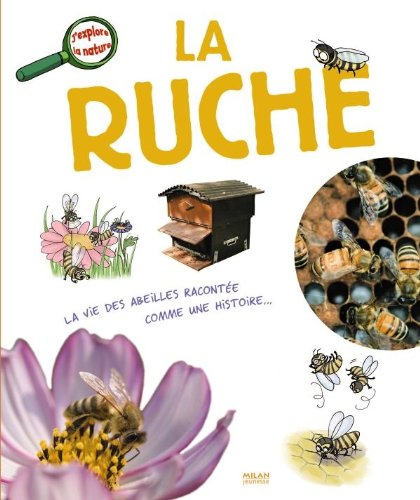Beispielbild fr La Ruche : La Vie Des Abeilles Raconte Comme Une Histoire. zum Verkauf von RECYCLIVRE