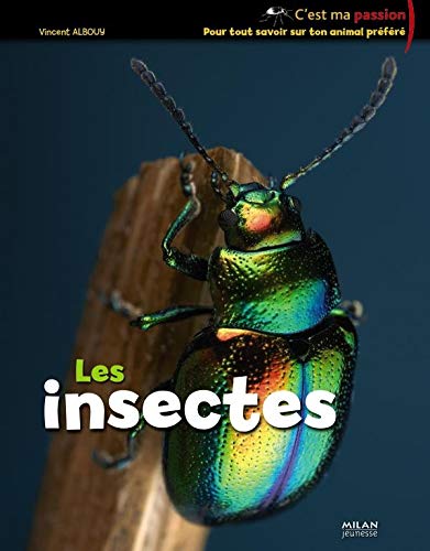 Stock image for Les insectes for sale by Ammareal
