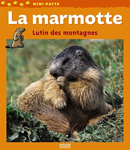 Beispielbild fr La marmotte : Lutin des montagnes zum Verkauf von medimops