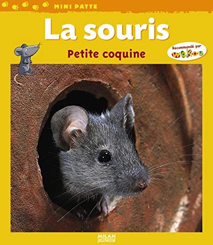 Stock image for La souris : Petite coquine for sale by medimops