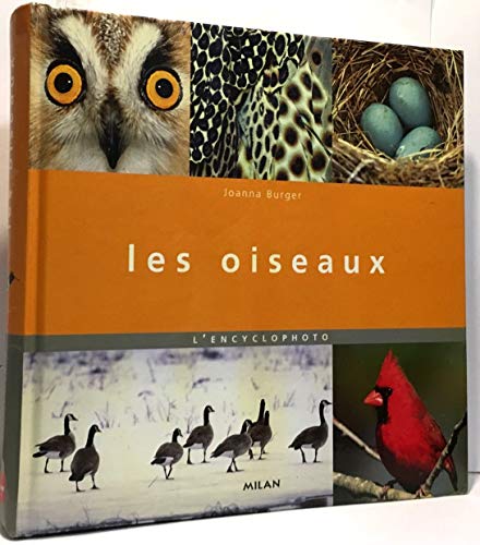 Beispielbild fr Les Oiseaux zum Verkauf von RECYCLIVRE