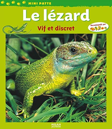 Beispielbild fr Le lzard : Vif et discret zum Verkauf von Ammareal