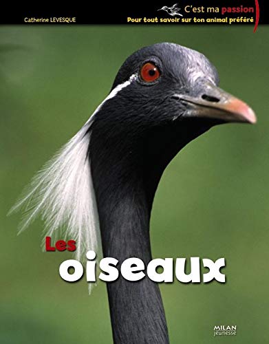 Beispielbild fr Les oiseaux Levesque, Catherine; Grosson, Jean et Labarre, Amandine zum Verkauf von BIBLIO-NET