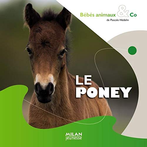 9782745938800: Le poney