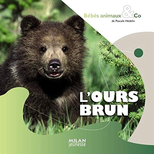 Stock image for L'ours brun for sale by Ammareal