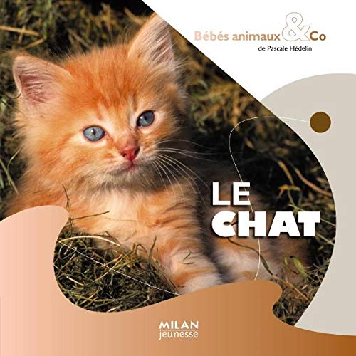 Beispielbild fr Le chat zum Verkauf von Ammareal