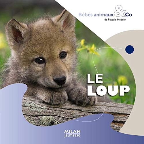 9782745941503: Le loup (Bbs animaux & Co)