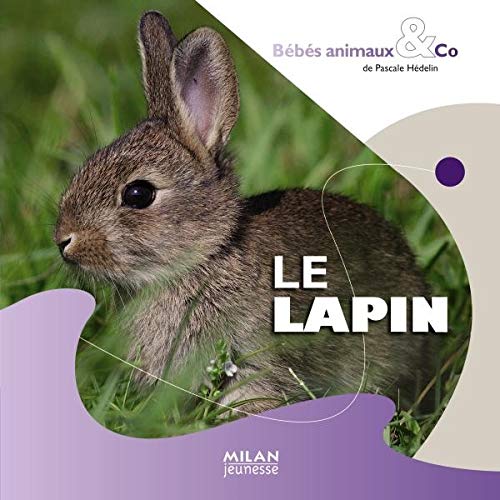 Beispielbild fr Le lapin zum Verkauf von Ammareal