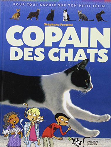 Stock image for Copain Des Chats : Pour Tout Savoir Sur Ton Petit Flin for sale by RECYCLIVRE