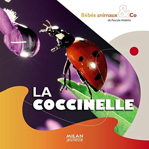 Beispielbild fr La coccinelle zum Verkauf von Ammareal