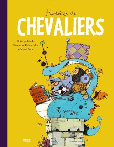 9782745943132: Histoires de chevaliers