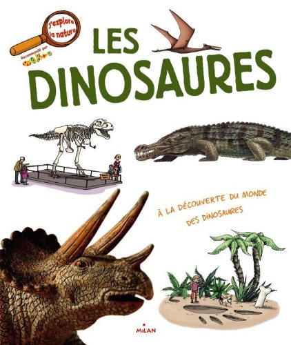 Stock image for Les Dinosaures for sale by Ammareal