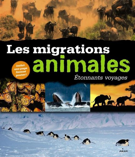 Beispielbild fr Etonnants voyages - Les migrations animales zum Verkauf von medimops