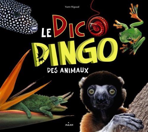 9782745956798: Le dico dingo des animaux (Documentaires nature)