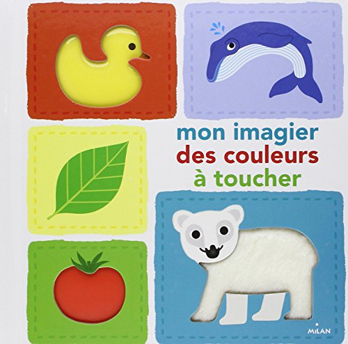 Stock image for Mon grand imagier des couleurs for sale by medimops