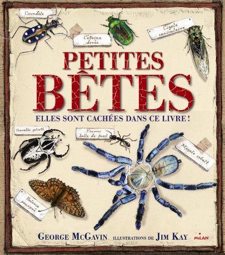 Stock image for Les petites bêtes for sale by WorldofBooks