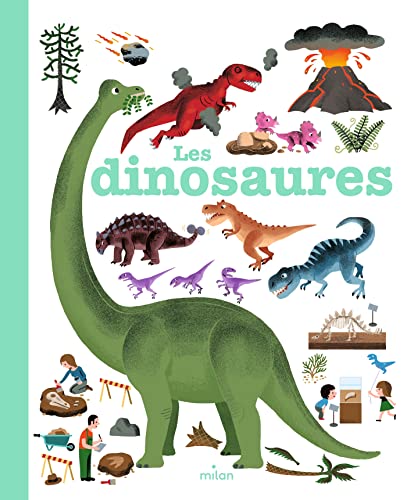 Beispielbild fr Mes annees pourquoi/Les dinosaures zum Verkauf von WorldofBooks